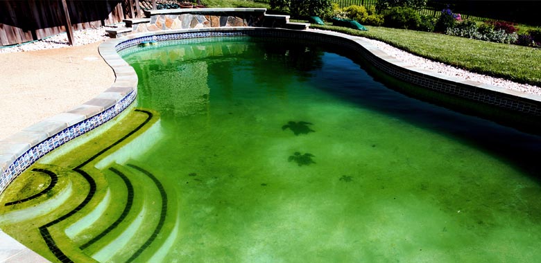 how to open a pool that is green